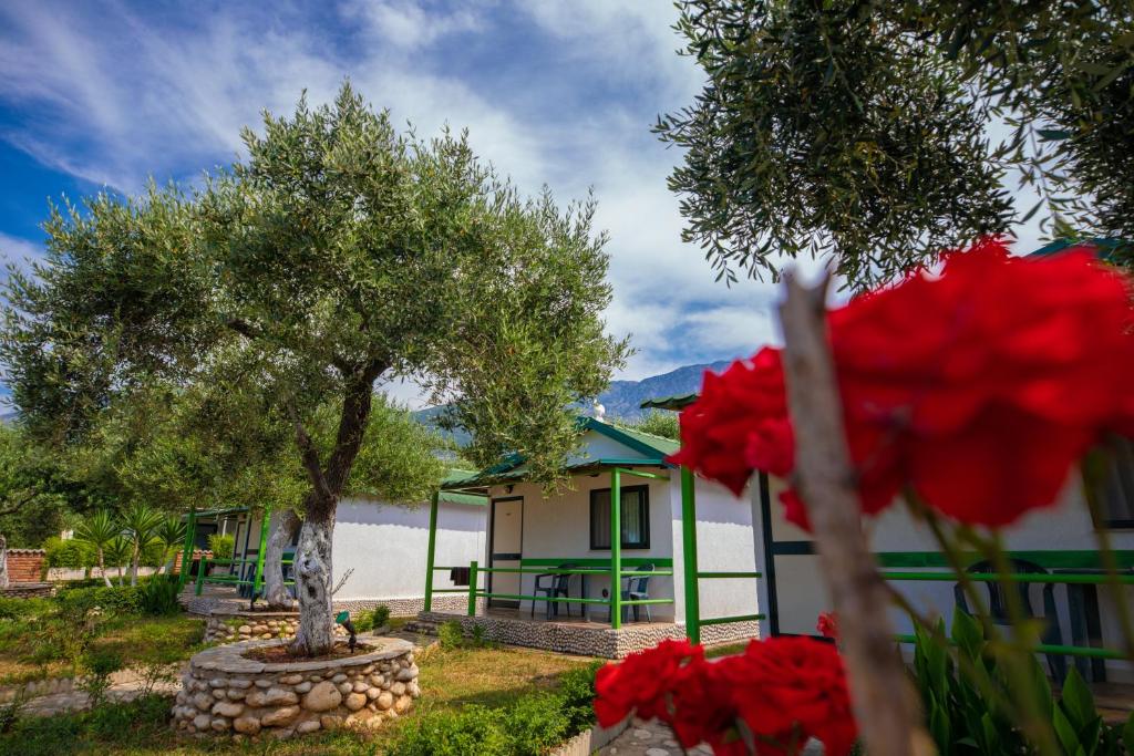 a house with red flowers in front of it at Chalet Ambel in Dhërmi