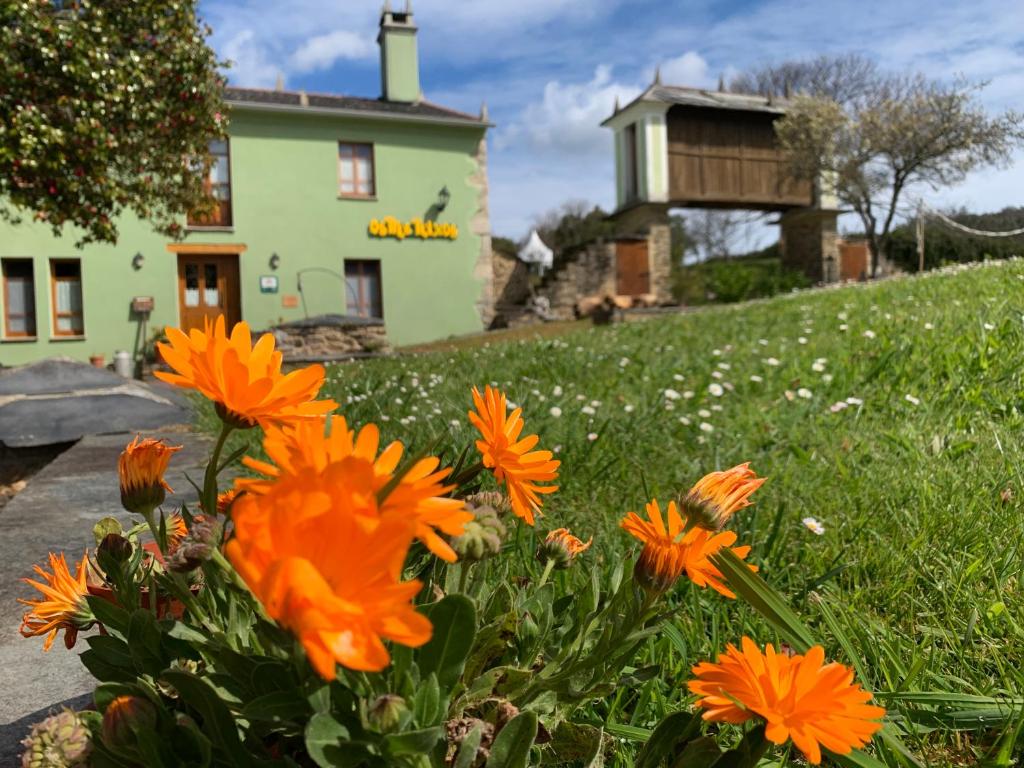 un campo de flores naranjas frente a una casa en Os Tres Teixos en San Acisclo