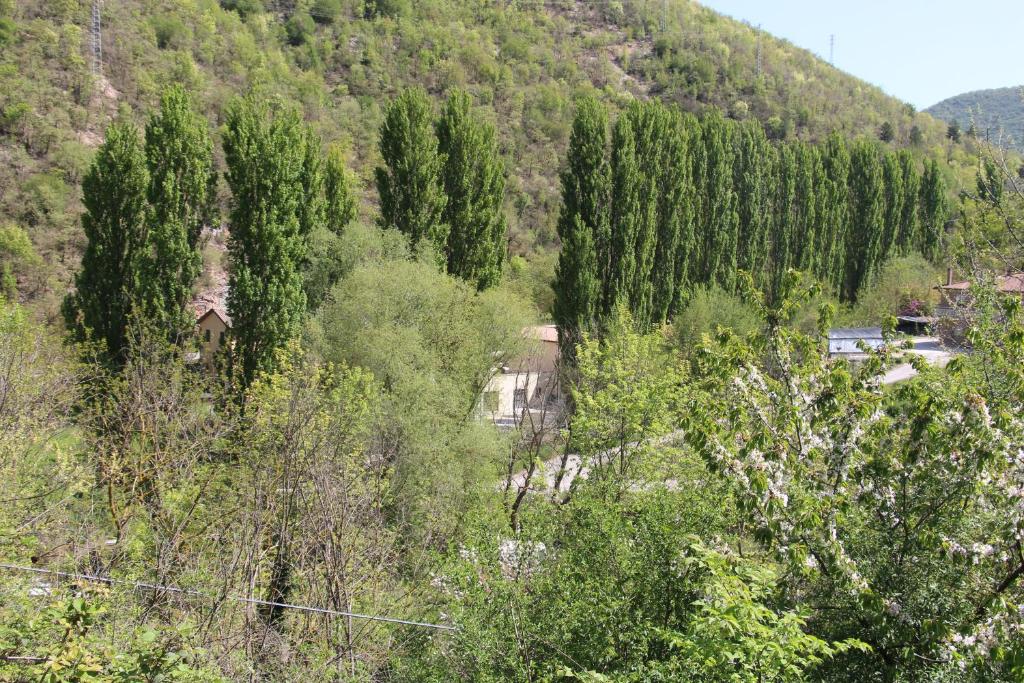 Príroda v okolí dovolenkového domu
