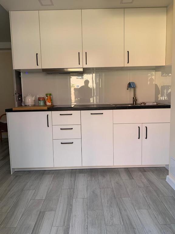 Kuchyň nebo kuchyňský kout v ubytování Villa Leon Hel