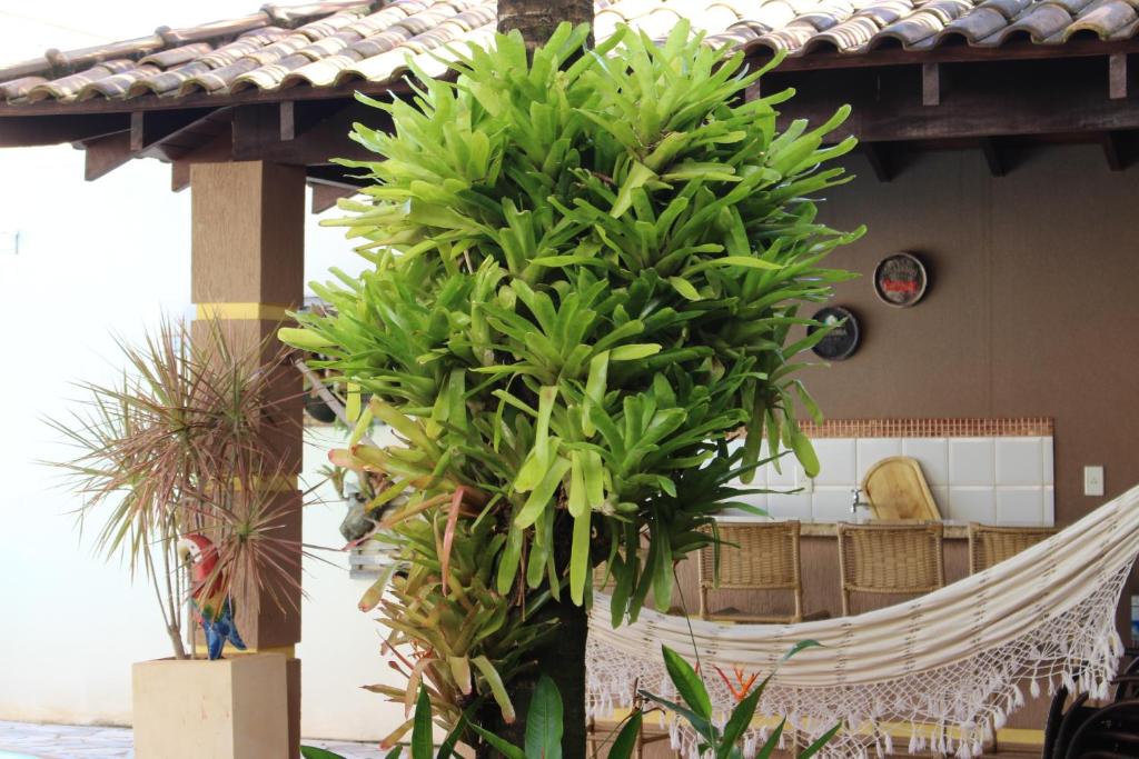 Casa Integrativa