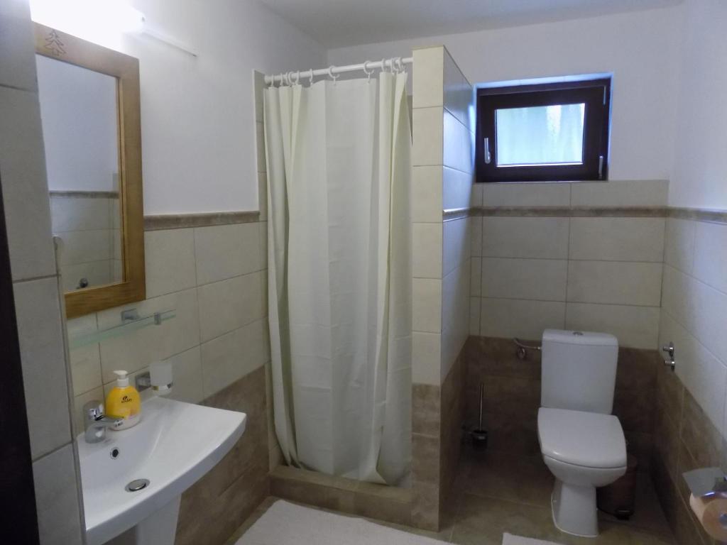 Koupelna v ubytování Pensiunea agroturistică Casa Brădeana