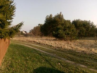 Příroda nedaleko chaty