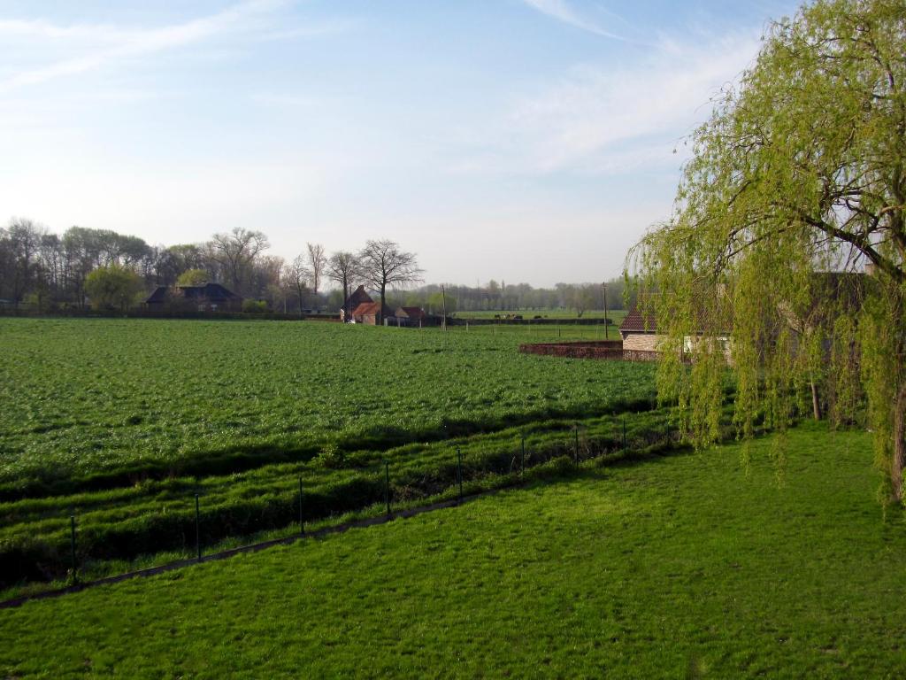 Příroda nedaleko bed and breakfast