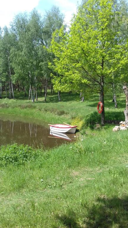 Fotografia z galérie ubytovania HARFA v destinácii Chrztowo