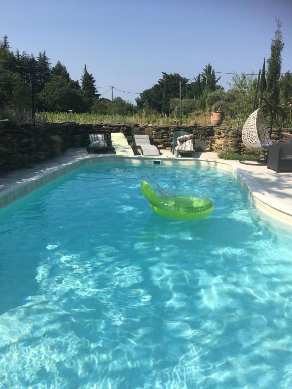 uma piscina com uma jangada verde na água em Gîte la Genestière em Sérignan-du-Comtat