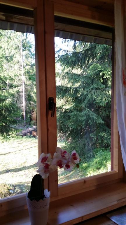 Zahrada ubytování Chatka Nad Strumieniem