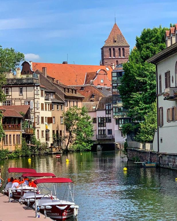 STRASBOURG HYPER CENTRE 2P de 30m2 - Apartment