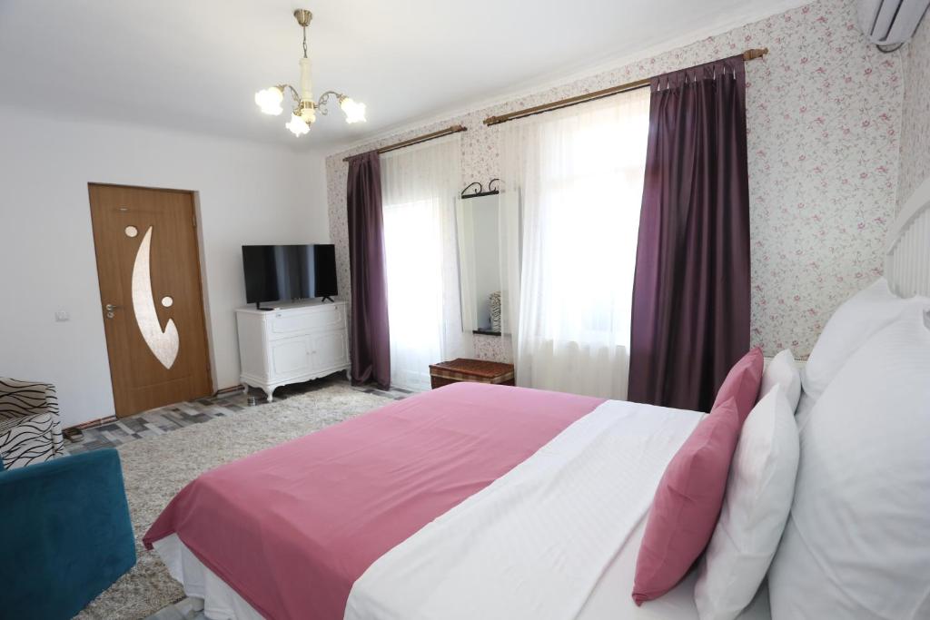a bedroom with a large bed and a television at Union Square Apartment 2 in Cluj-Napoca
