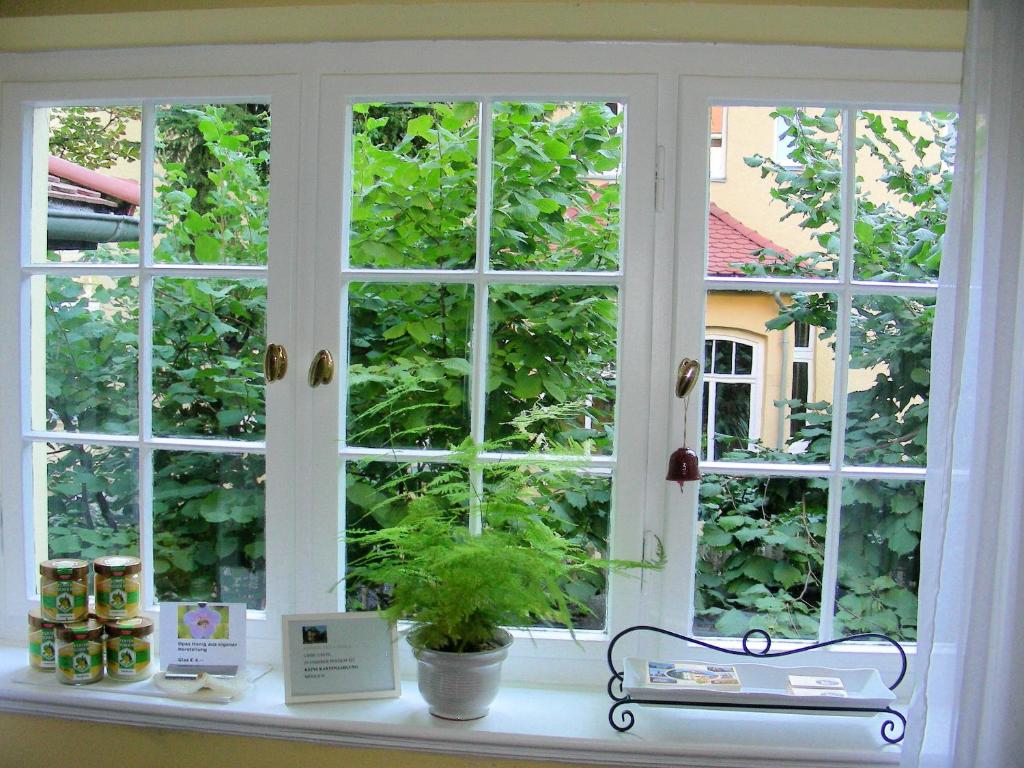 Pension Villa Gisela - 11