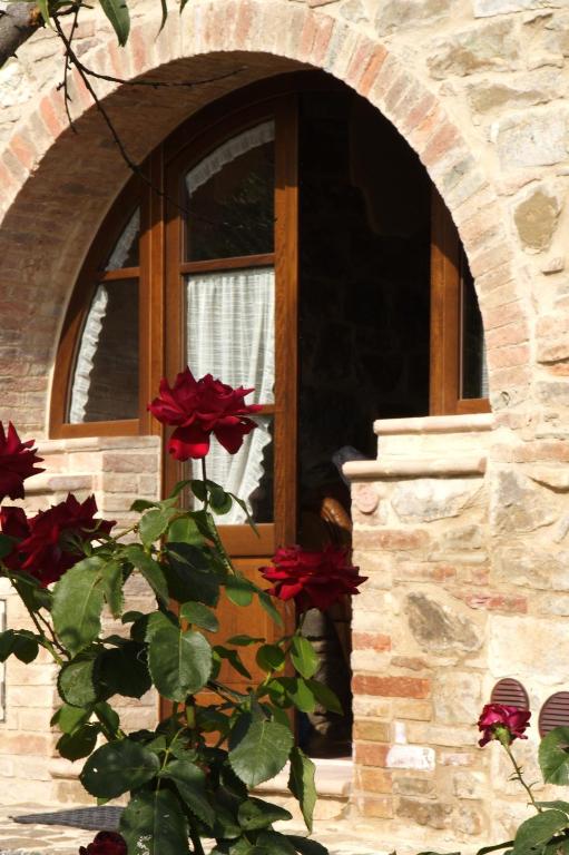 Azienda Agraria La Casella - Apartamento De Un Dormitorio