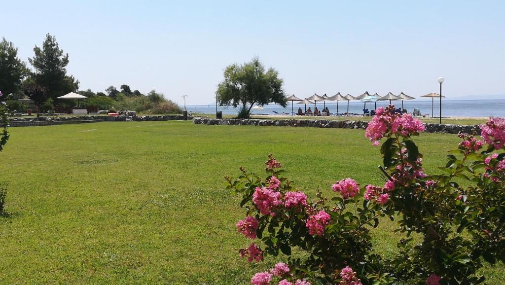 un terrain verdoyant avec des fleurs roses dans un parc dans l'établissement Monopetro, à Metamórfosi