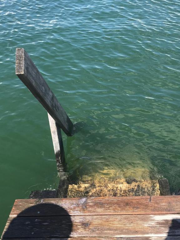 Φυσικό τοπίο κοντά σε αυτό το διαμέρισμα
