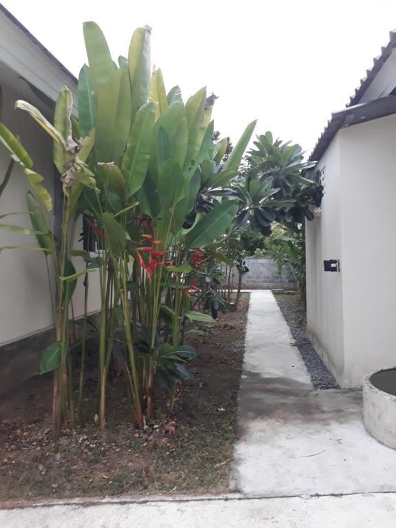 Ein Garten an der Unterkunft Khanom Garden Suite