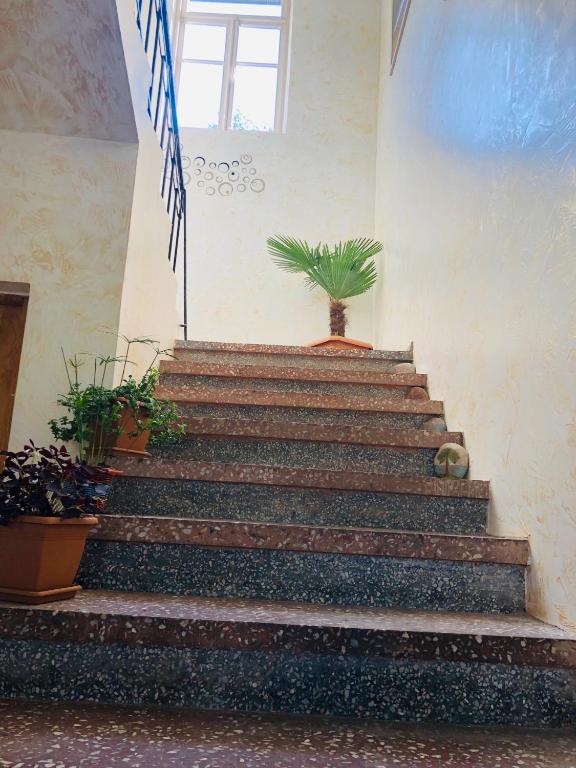 Fotografie z fotogalerie ubytování Guesthouse Family v destinaci Batumi