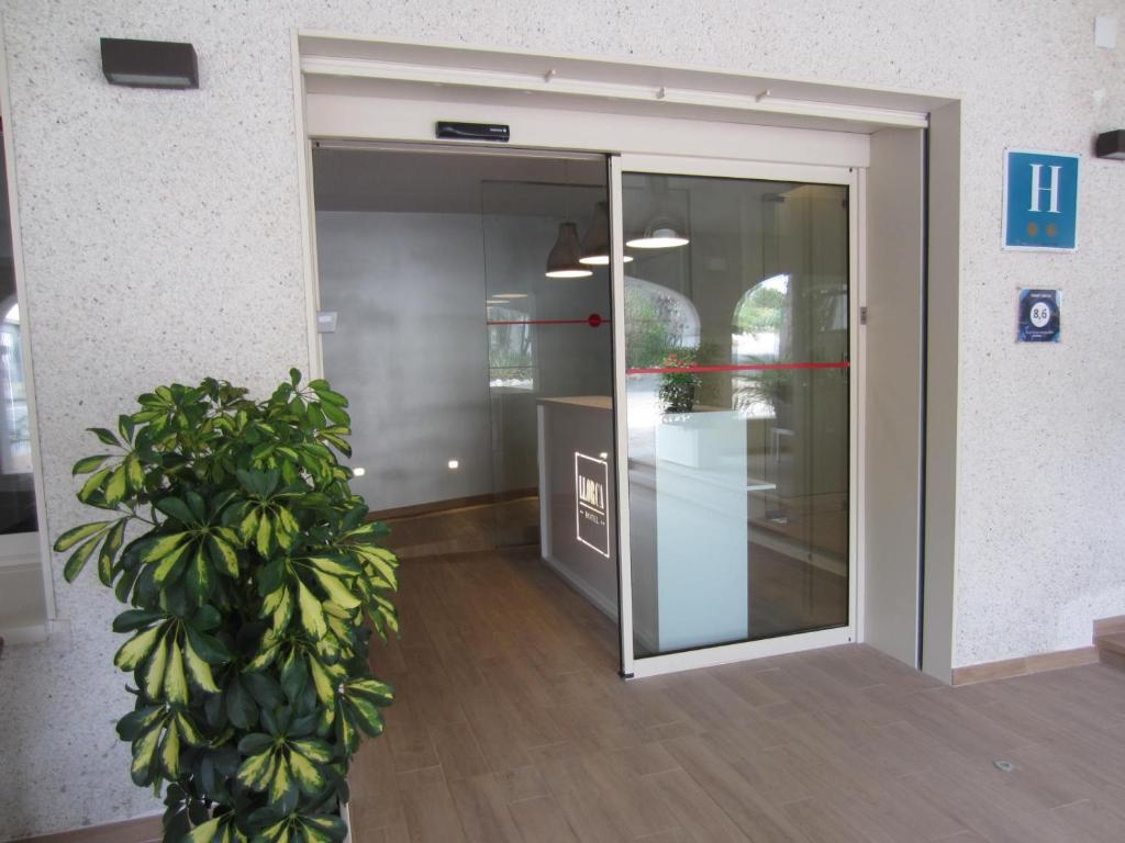 an open door of an office with a plant at Apartamentos LLorca in Platja de l’Almadrava