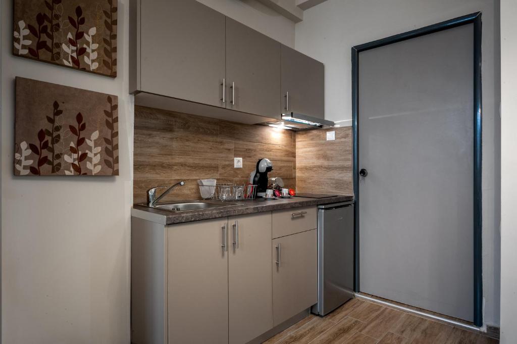 Kuchyň nebo kuchyňský kout v ubytování Pallada Athens boutique rooms & apartments