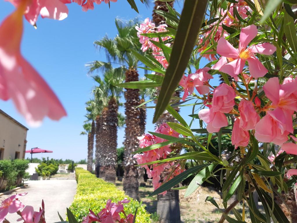 Vonkajšia záhrada v ubytovaní Baglio Cudia Resort