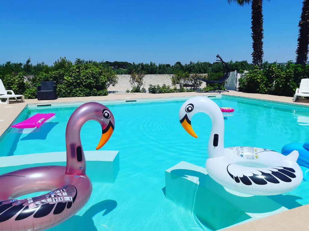 two swans in the swimming pool at a resort at Baglio Cudia Resort in Marsala