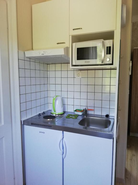 Een keuken of kitchenette bij APARTMAN LU&Scaron;ETI&#x106;