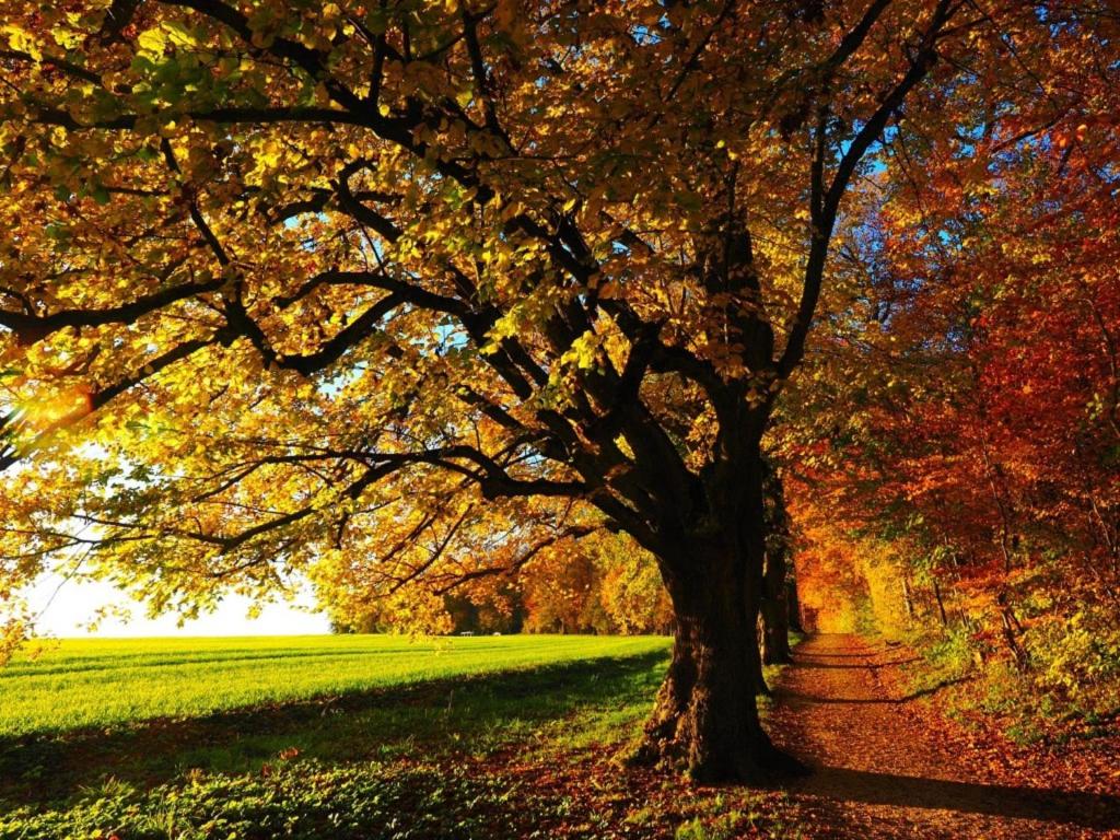 Un paisaje natural cerca de la posada