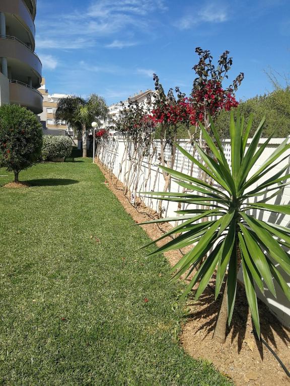 Zahrada ubytování Residencial Ronda Mar