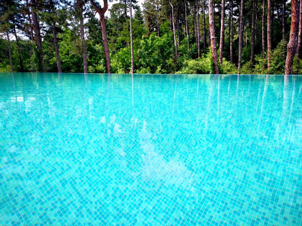 Afbeelding uit fotogalerij van D.Villa in Mineralni Bani
