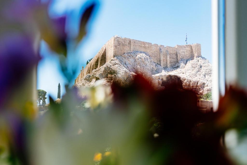 Phaedra Hotel - Resim 37