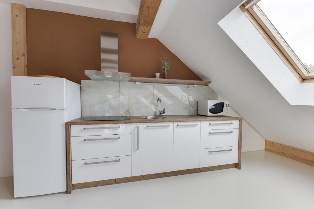 Kuchyň nebo kuchyňský kout v ubytování Apartments Julian Experience