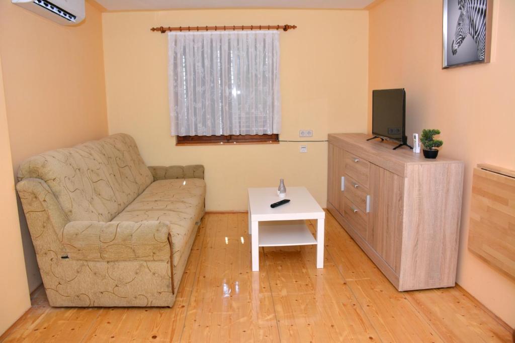 een woonkamer met een bank en een televisie bij Apartman Viktorija in Krapinske Toplice