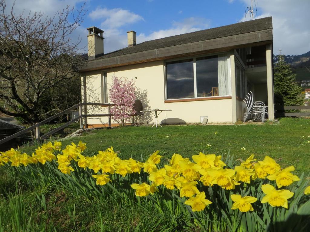 Zahrada ubytování Maison familiale à Montreux avec vue sur le lac