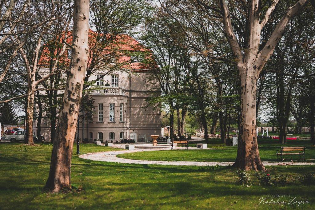 a building in the middle of a park with trees at Pałac Rajkowo in Szczecin
