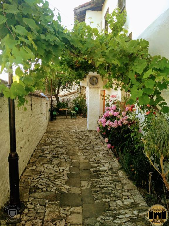 Zahrada ubytování Bed & Breakfast JOSIPH