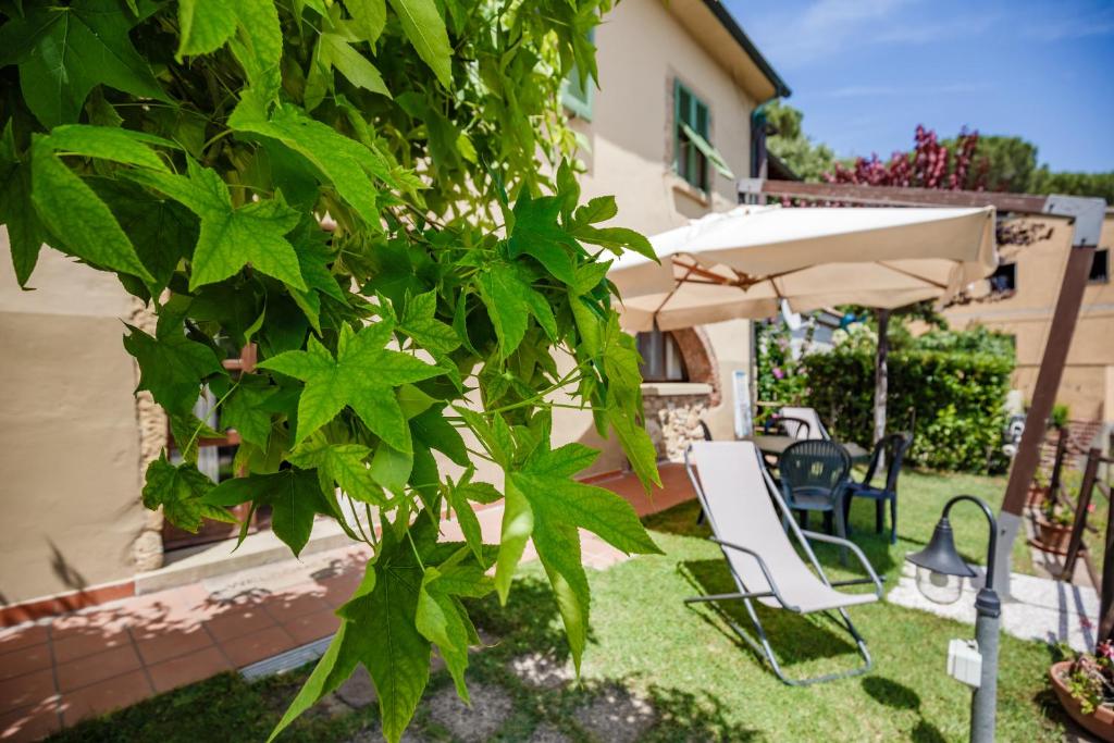 A garden outside Casetta Luna e Sole