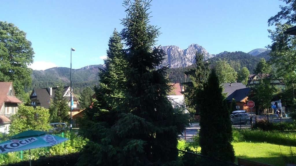 Общий вид на горы или вид на горы из варианта проживания в семье