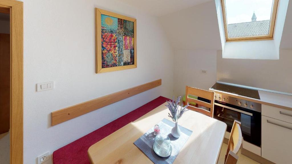 Kuchyň nebo kuchyňský kout v ubytování Apartmaji pri Marodnu