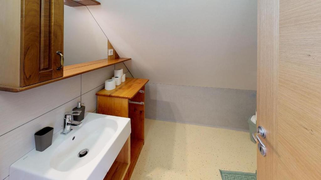 Koupelna v ubytování Apartmaji pri Marodnu