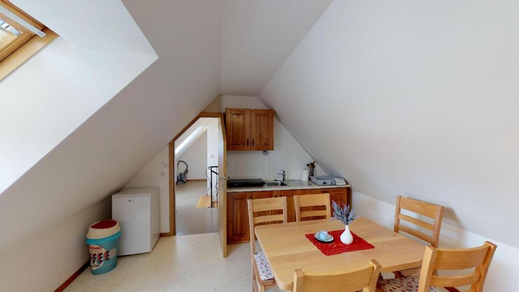 Kuchyň nebo kuchyňský kout v ubytování Apartmaji pri Marodnu