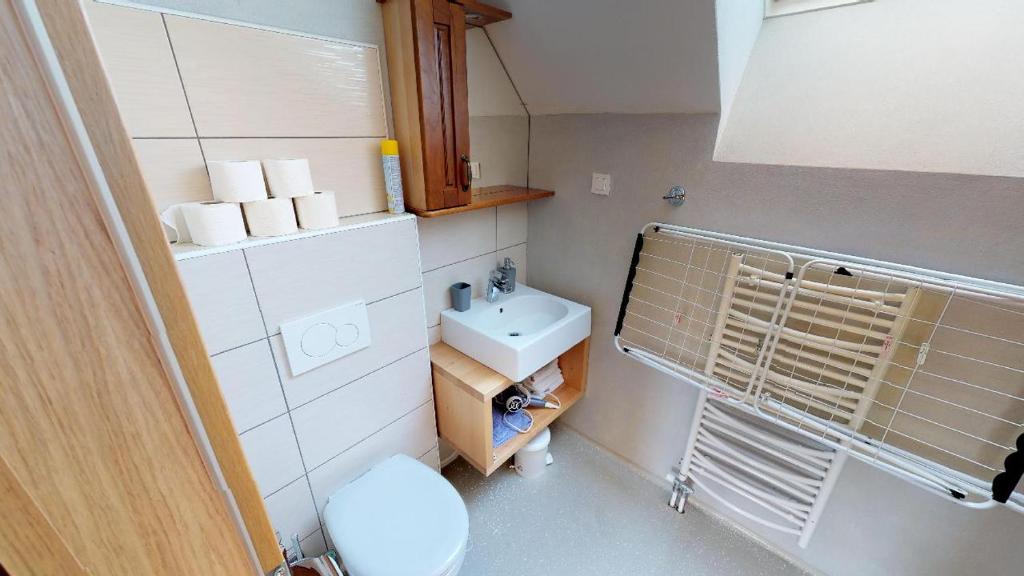 Koupelna v ubytování Apartmaji pri Marodnu