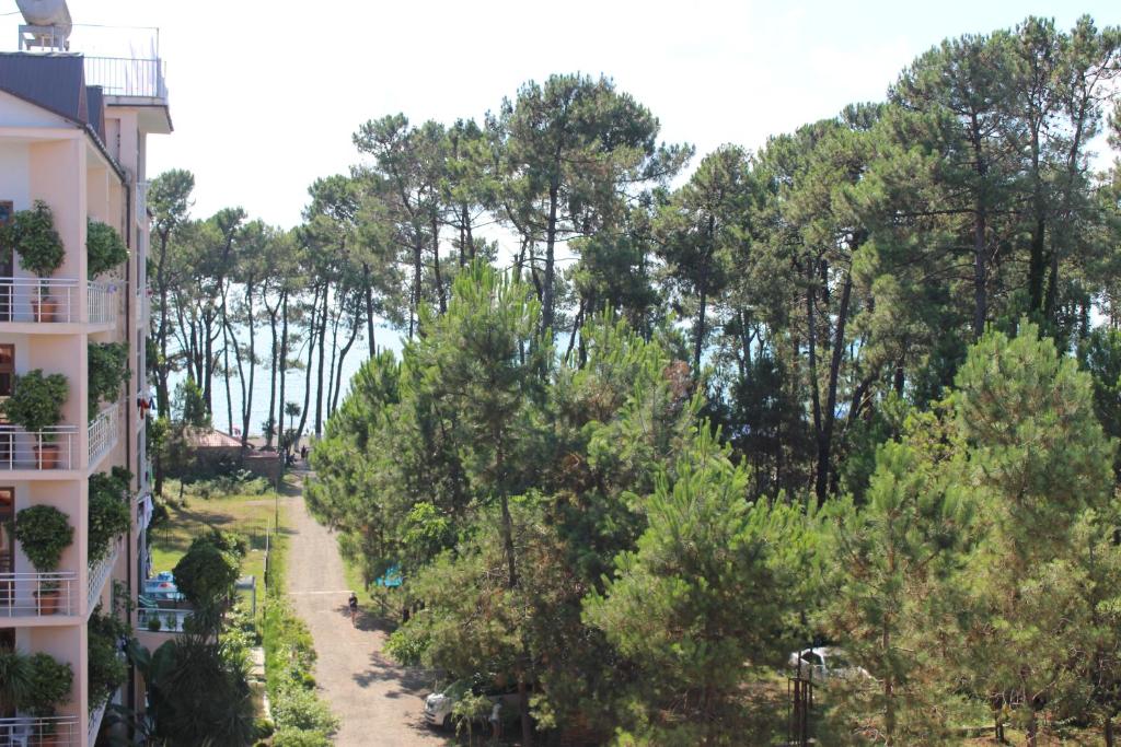 Naturlandschaft in der Nähe des Hotels