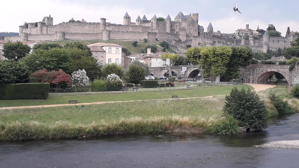 un río con un castillo en el fondo en Le Midi 3, en Trèbes