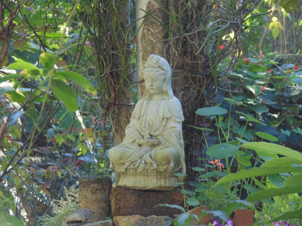  Casa D`Irene - Zen Space