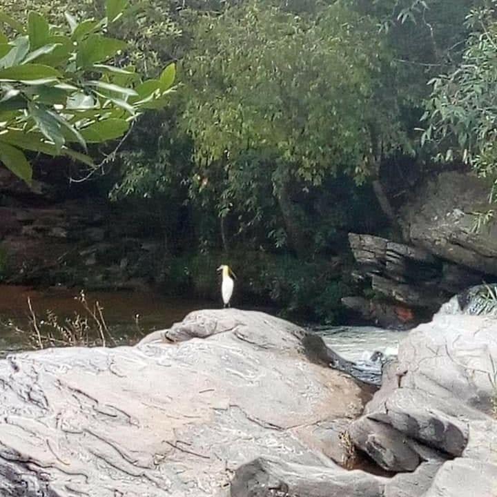  Pouso do Rio