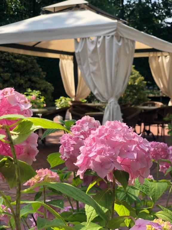 Zahrada ubytování Rezydencja Willa Park & Restauracja