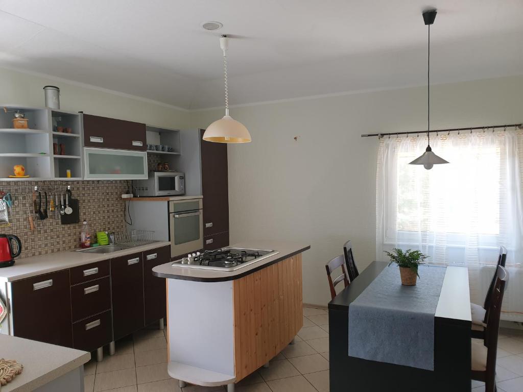 una cucina con fornelli e piano di lavoro di Apartament Pod Sosnami 1 Noclegi OTW Borówno Wlk Skarszewy a Skarszewy