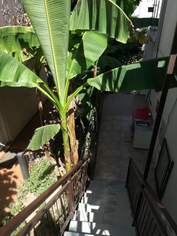 布德瓦Guest House Vila Bak的相册照片