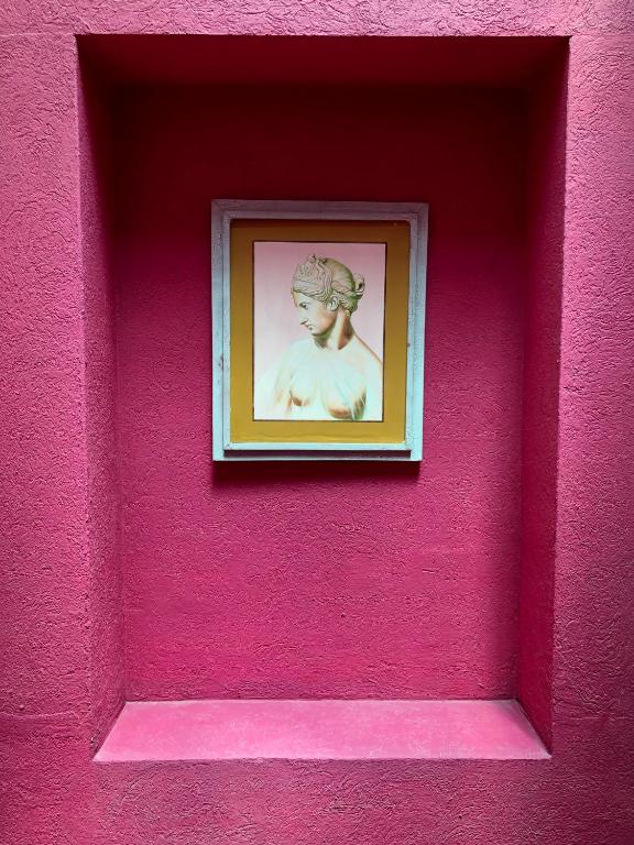 Fotografie z fotogalerie ubytování Hotel Quinta Cesar v destinaci San Juan de los Lagos