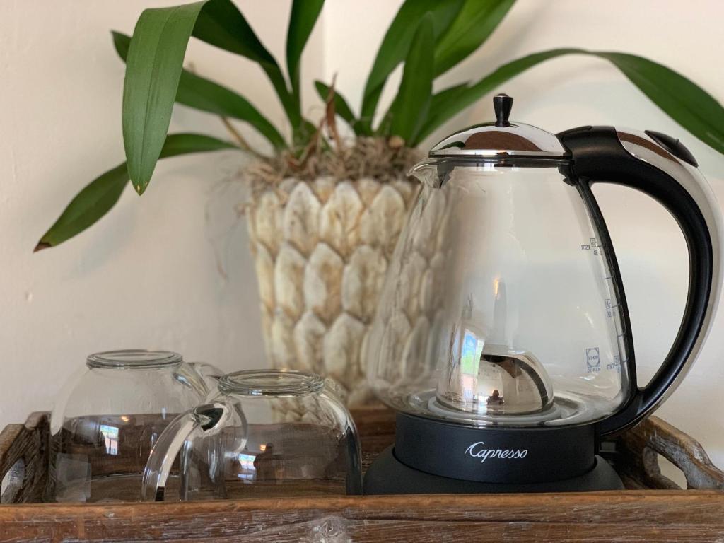 Capresso H2O Plus Water Kettle (Water Boiler Review) 