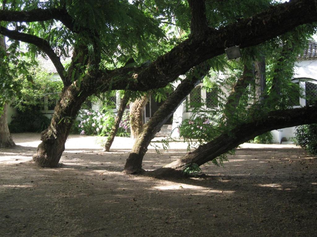 Κήπος έξω από το Quinta de São José