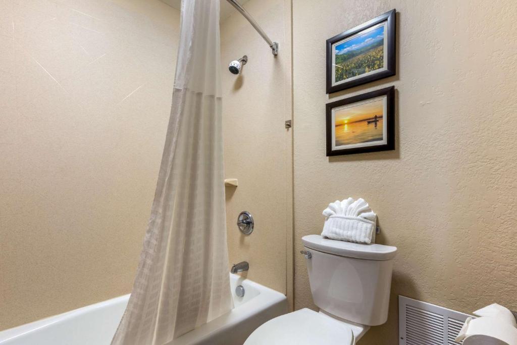 Comfort Inn Lenoir City-Knoxville photo